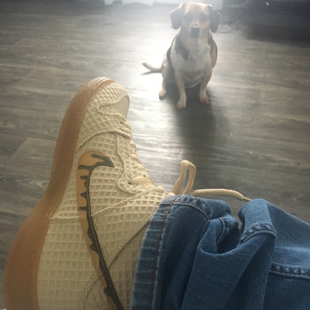 Nike sb dunk